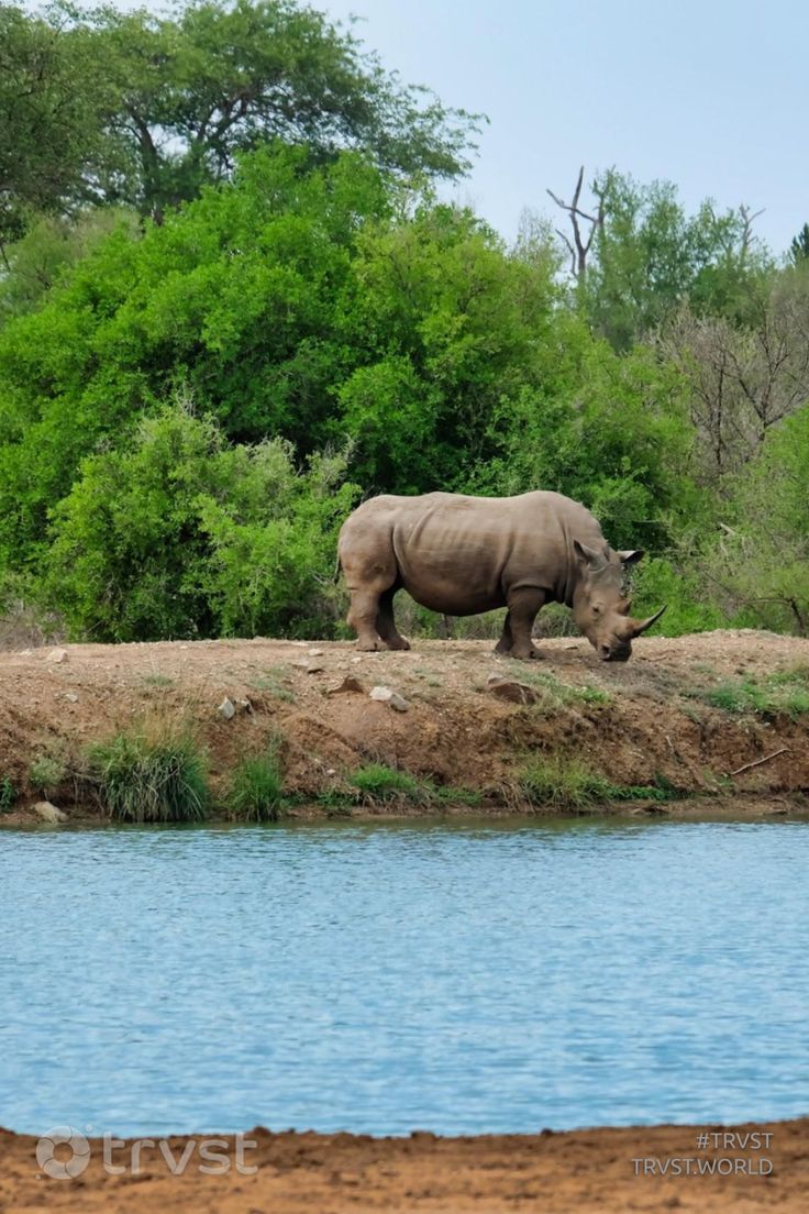 Ecological Restoration